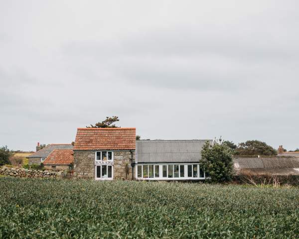 The Daily Rise: Loaves, Cakes, and Life by the Sea