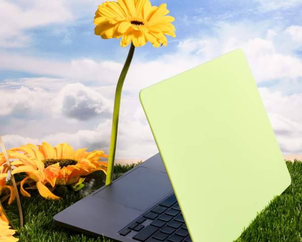 Springing into action: fresh websites to blossom your online experience