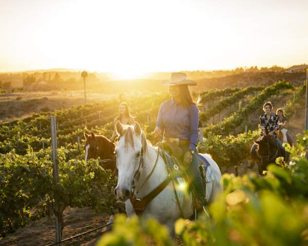 10 Fall Experiences You Can't Miss During Harvest Season in Temecula Valley