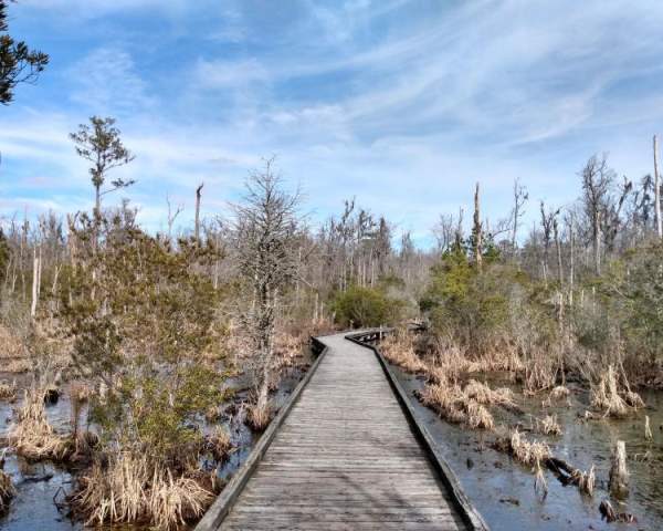 Goose Creek