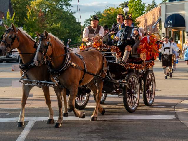 Horse-drawn carriage carrying accordion player