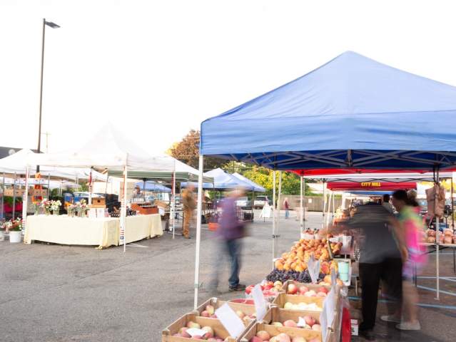 Vendors lined up under white and blue tents selling fruits at the Saline Farmers Market on dark grey pavement lot. Three individuals shop through the market.