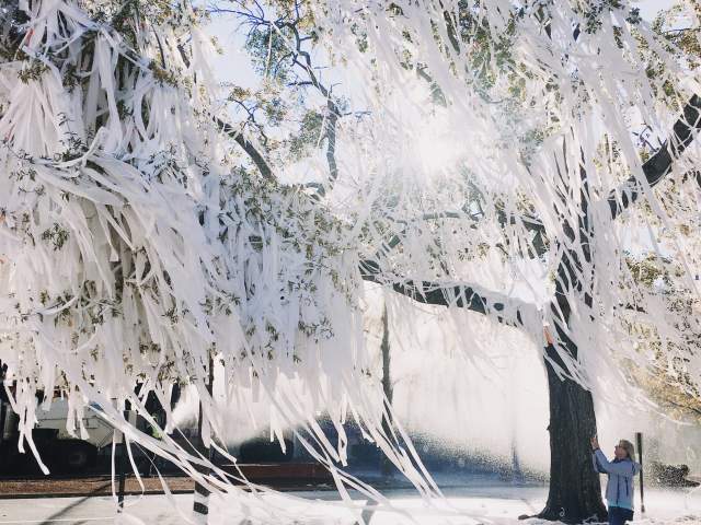 Rolling Toomer's