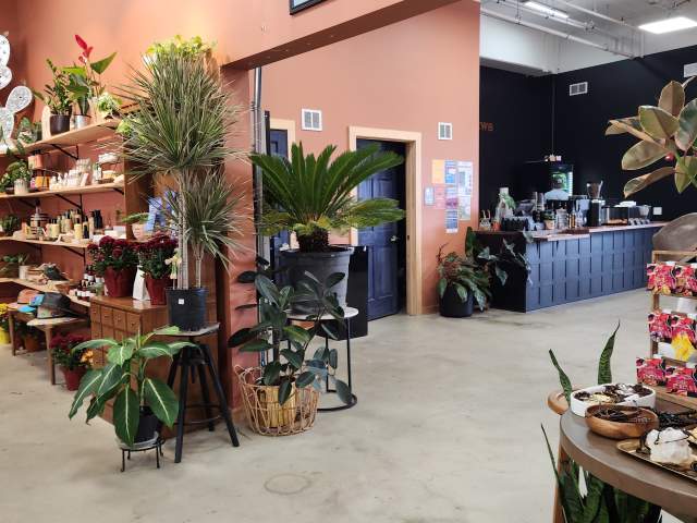 Dapper Brews - Inside Nide Jardin