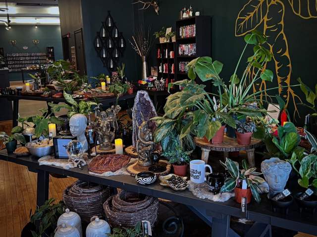 Hoof + Horn Shop Display