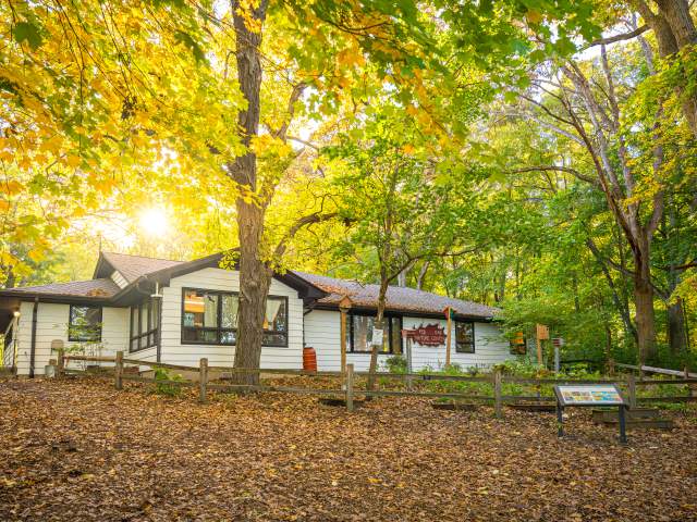 Red Oak Nature Center - Summer Shot