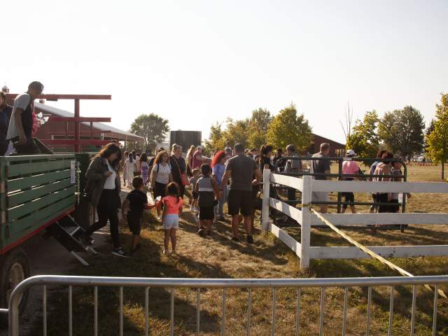 Keller's Farmstand - Hayride