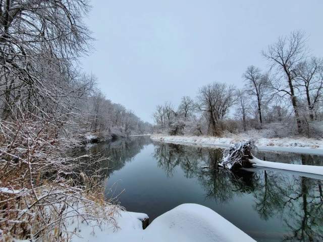 Steward Park - Plano