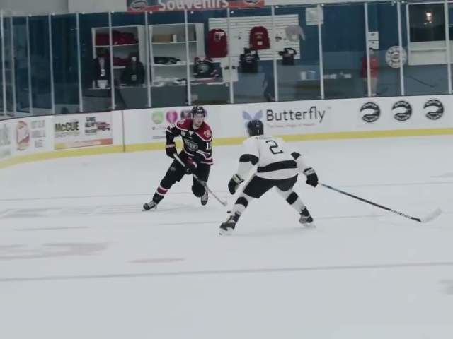 Chicago Steel Pucks and Pups