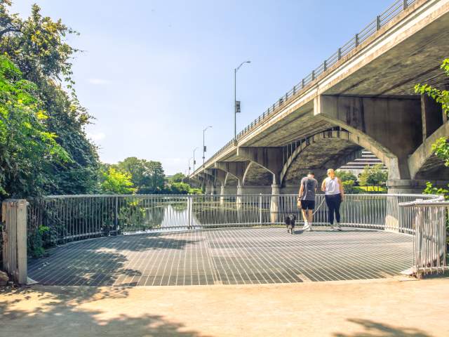 3 Days in Austin with Your Dog