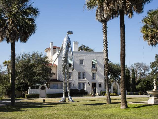 15 Museums Worth Visiting in Austin