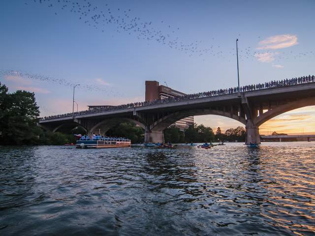 Photo of Rowing Dock kayakers and a boat on Lady Bird Lake. Above them, the bats fly out from the Congress Avenue Bridge at sunset