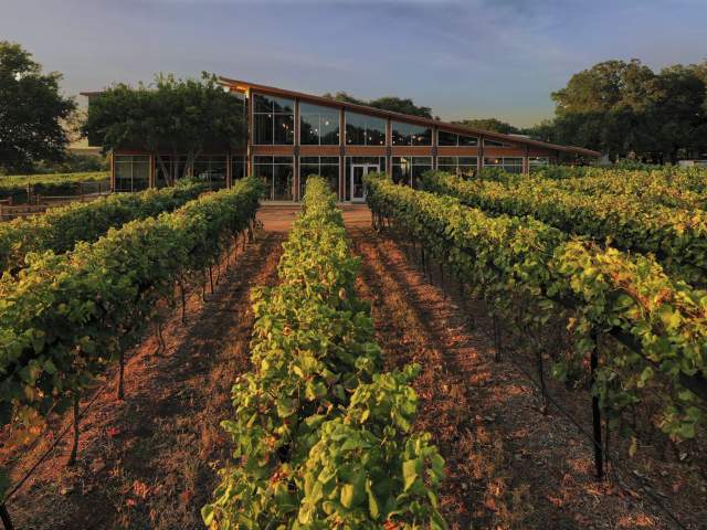 Day Trip Destination: Fredericksburg