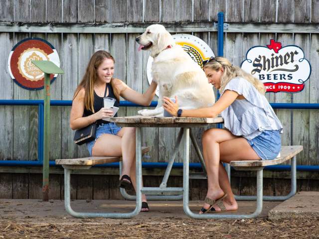 Dog-Friendly Restaurants in Austin