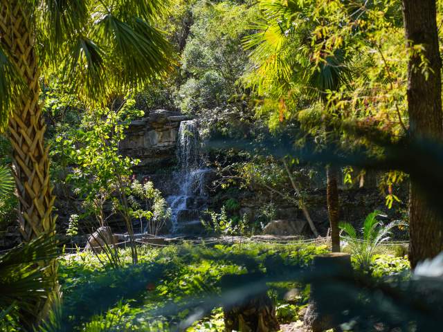 Photo of a rock waterfall surrounded by lush greenery and plants at the Zilker Botanical Garden.