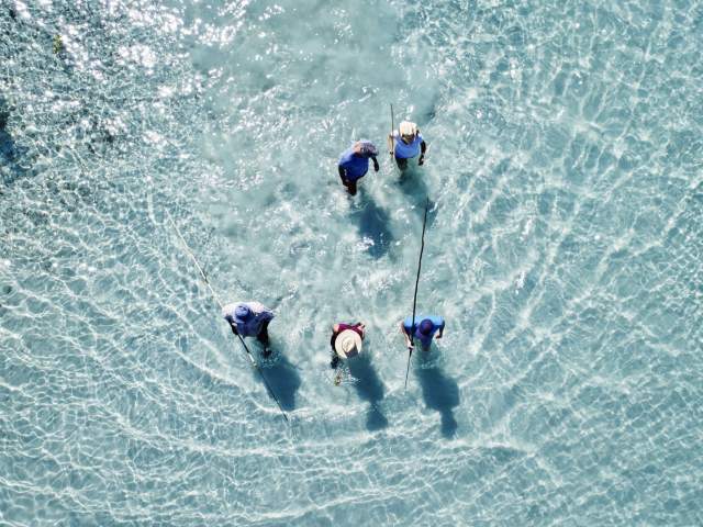 Image taken from above, of a group of 4 tour guests alongside their guide, Bundy. The group is walking through crystal clear blue waters, carrying fishing spears.