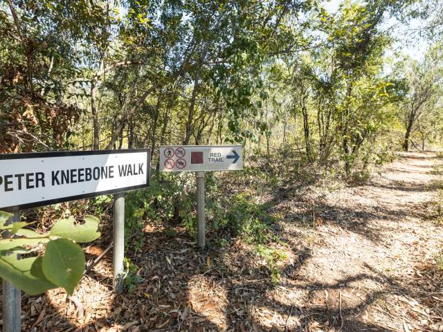 A view of the Joon Joo Botanical Trail with a sign pointing to the Peter Kneebone Walk