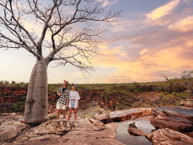 A couple stands alongside Matthew Gorge looking at a boab tree