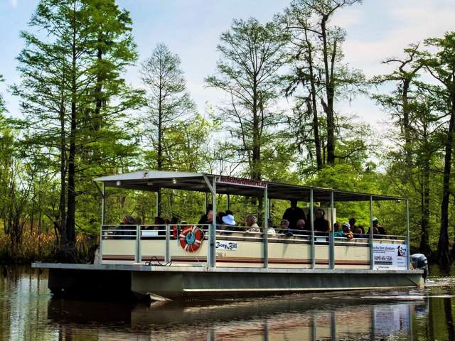 Pantoon boat tour from the Neches River Adventures