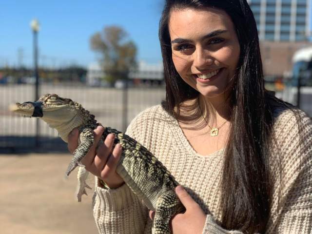 Hold a Gator