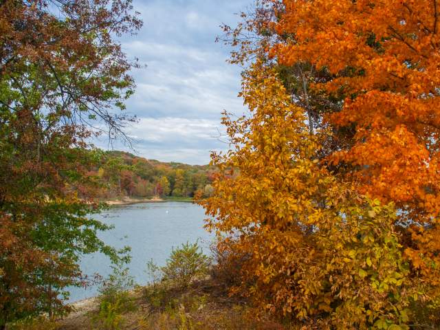 Fall Lake Bloomington