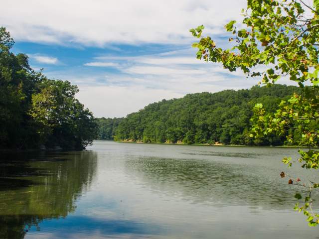 Griffy Lake during Summer in Bloomington