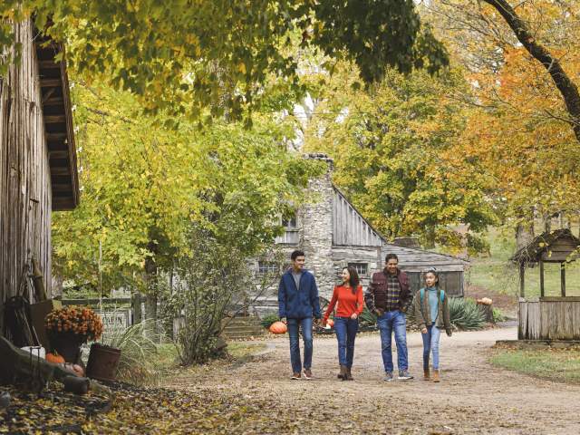 Best Places to See Fall Foliage in Branson