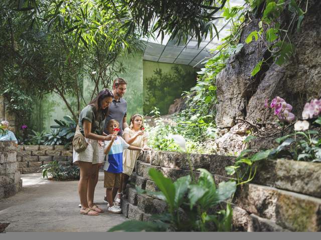 Spring in Branson: What’s Open, Blooming, and Perfect for a Reset