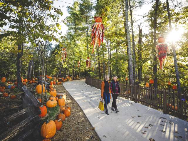 2026 Fall Festivals & Events in Branson You Can’t Miss