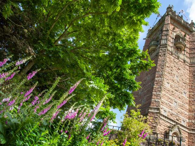 Best gardens to visit in and around Bristol