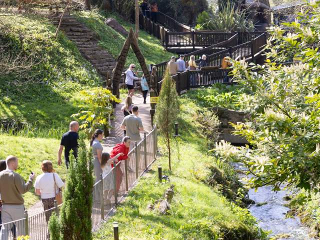 Magical summer adventures at Wookey Hole - with 20% off!