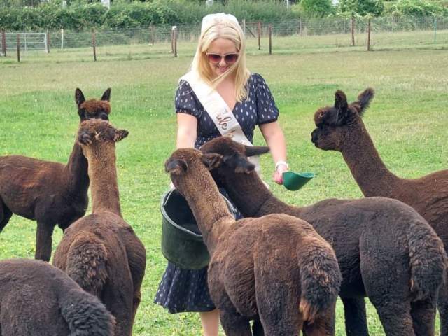 Alternative stag and hen do ideas in Bristol