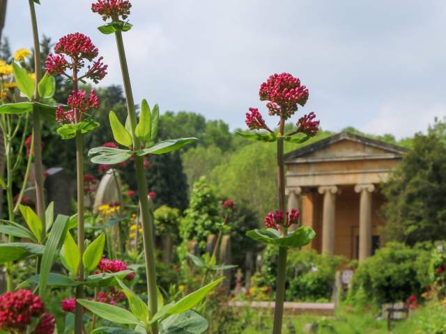 Best gardens to visit in and around Bristol