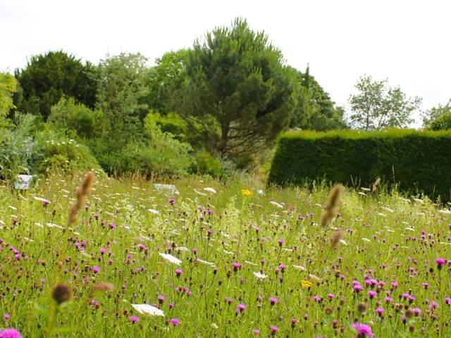 Top 20 Spring walks around Bristol