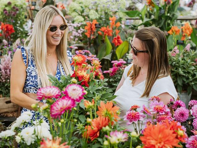 Five reasons not to miss the new RHS Badminton Flower Show this summer