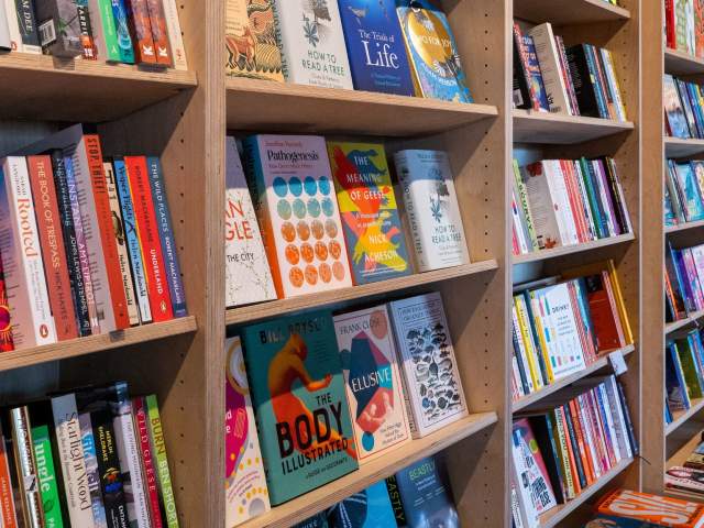 Top books set in Bristol