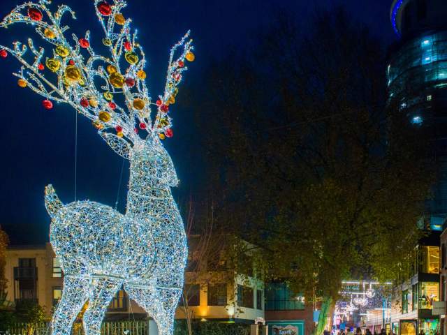 A giant light up reindeer in Quakers Friars - Credit Cabot Circus