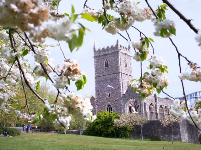 Spring blossom at Castle Park in central Bristol - credit Paul Box