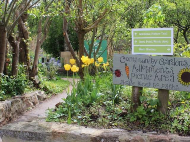 The story of Windmill Hill City Farm