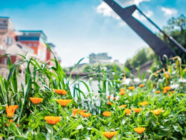 One of the floating seed gardens at Finzels Reach in central Bristol - credit Bristol City Council