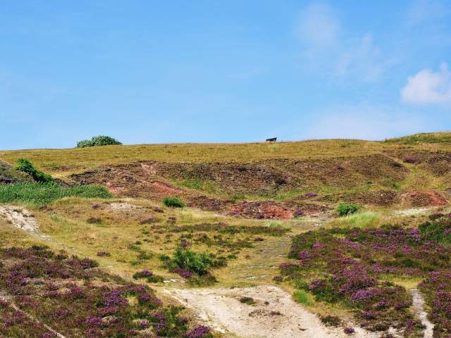 The local's guide: St George