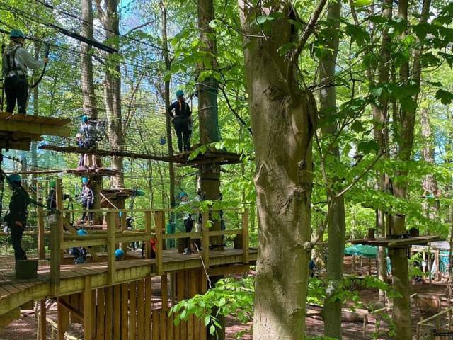 Tree Tops Adventure Bristol: An unforgettable outdoor adventure for all ages
