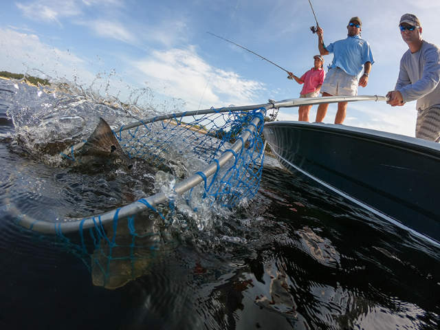 37 Inshore Fishing