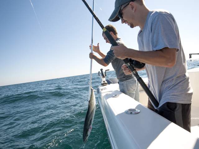 38 DEEP SEA FISHING