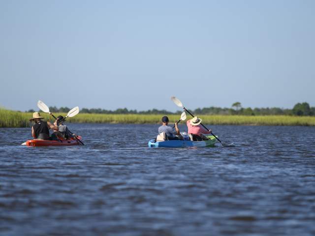 group of kayakers