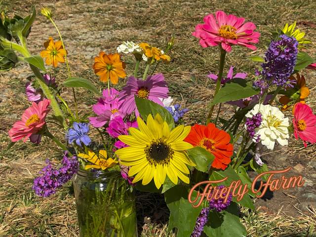 Pick or Cut Your Own Fruit and Flowers at these Orange County, NC Farms