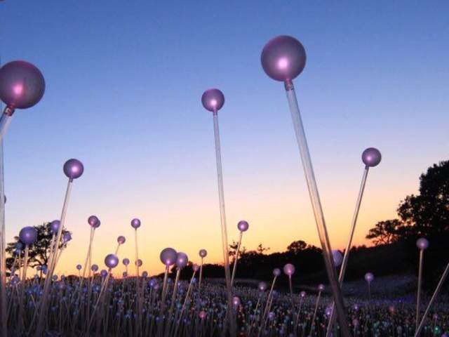 Light Bruce Munro