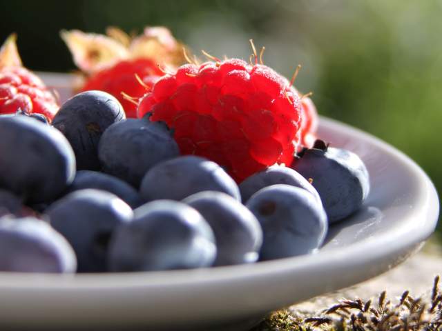 Orchards & U-Pick Farms