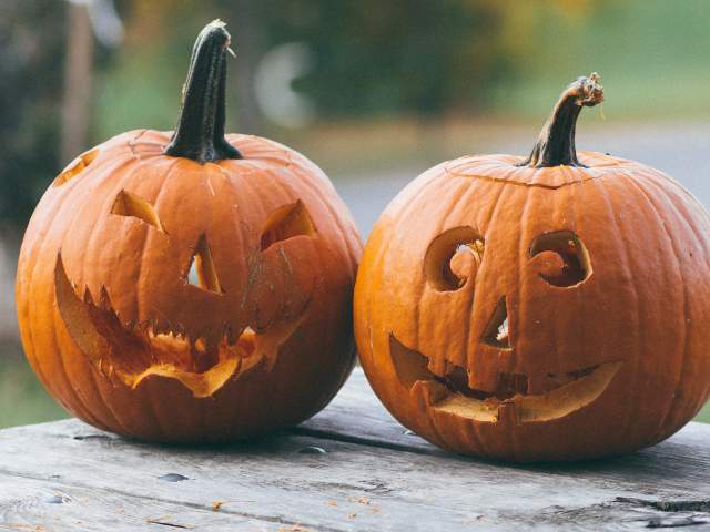 Generic Pumpkin Image Unsplash