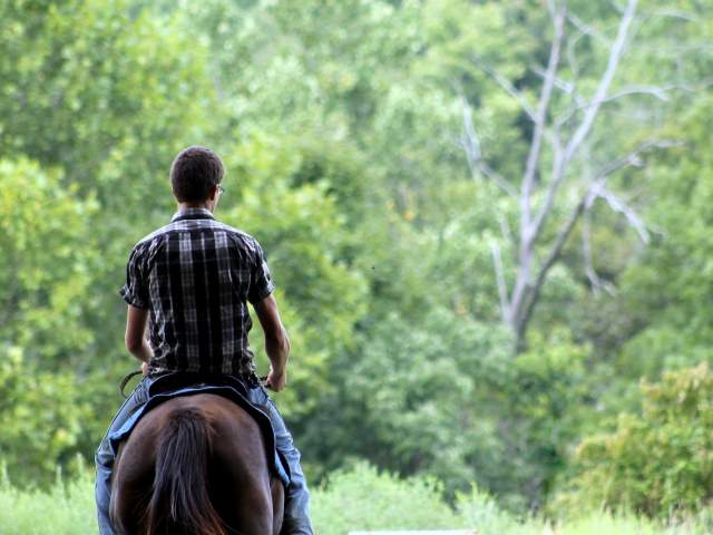 Horseback Riding